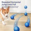 Automatic Pet Toy Ball